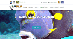 Desktop Screenshot of brsub.com.br